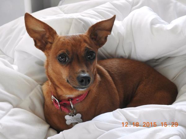 /Images/uploads/Humane Society of Utah/HSUCalendar/entries/1062thumb.jpg